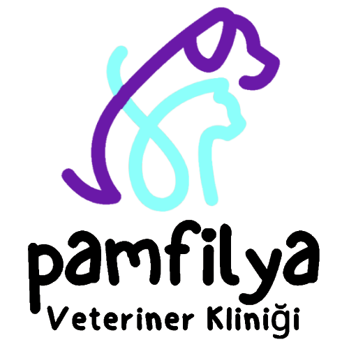Pamfilya